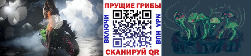 Галлюциногенные грибы мицелий  Чапаевск 
